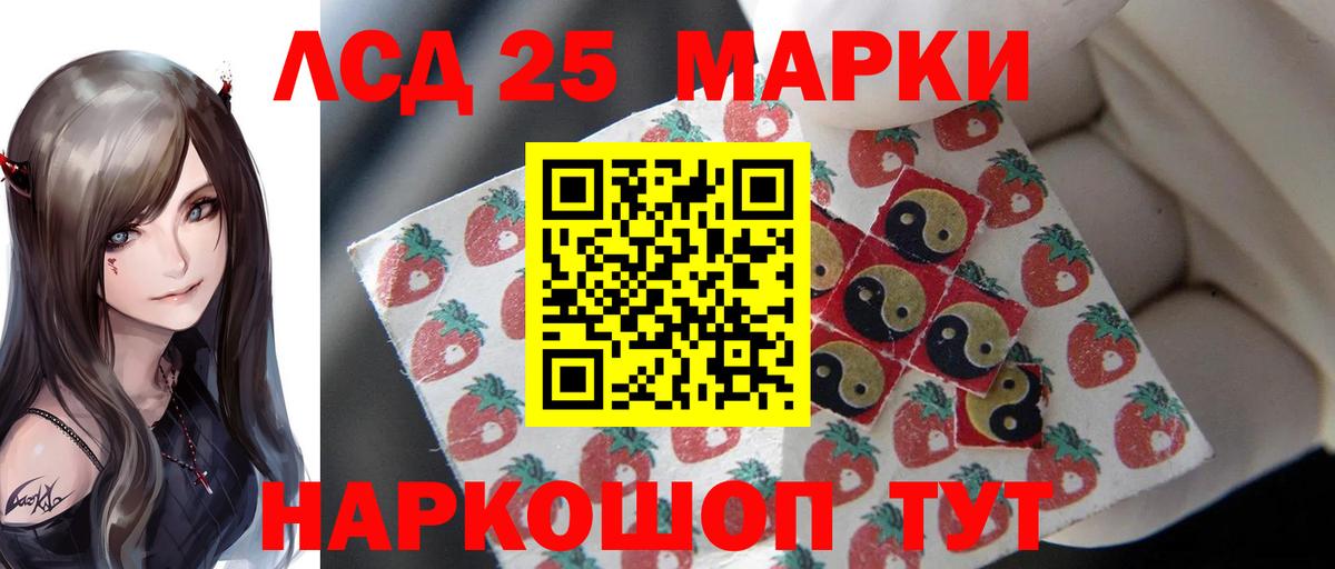 Новоалександровск  LSD-25 экстази ecstasy  ЛСД экстази ecstasy  Вход с VPN 