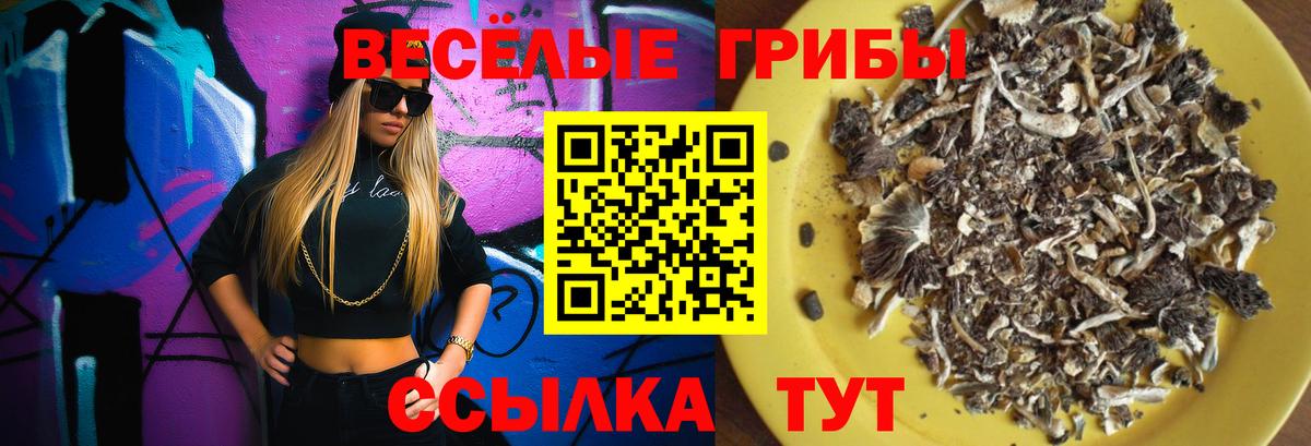 Галлюциногенные грибы Magic Shrooms  Вход с VPN  Новоалександровск 