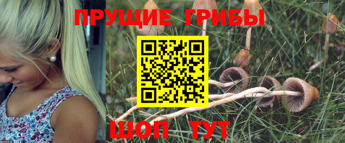 Псилоцибиновые грибы Magic Shrooms Новоалександровск